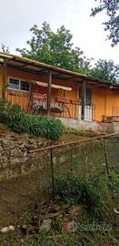 Terreno di 50 m² a Sansepolcro