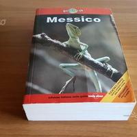 Libro : Lonely Planet - Messico