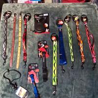 Set collari e guinzagli