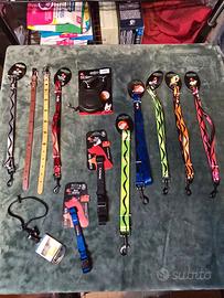 Set collari e guinzagli