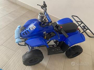 Quad elettrico