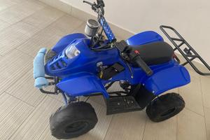 Quad elettrico