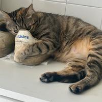 Milu e Arturo aspettano te