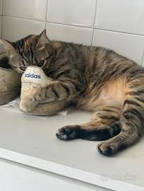 Milu e Arturo aspettano te