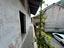Immagine 29