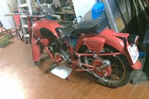 Moto Guzzi Altro modello - 1954
