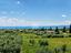 Immagine 26