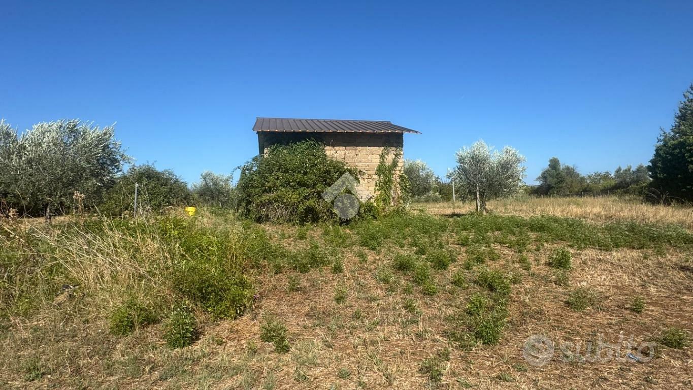 RUSTICO A ZAGAROLO - Altro