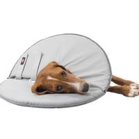 Collare Protettivo per cani