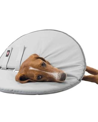 Collare Protettivo per cani