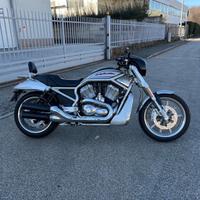 Harley vrsc r