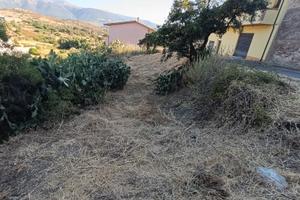 Terreno edificabile