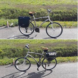 bicicletta elettrica 