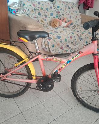 bicicletta