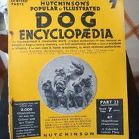 Enciclopedia dei cani Magazine.
n. 2 volumi