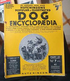 Enciclopedia dei cani Magazine.
n. 2 volumi