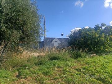 TER. AGRICOLO A MOLA DI BARI