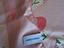 Immagine 3