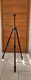 Gitzo G1228 Carbonio + Testa Manfrotto 460MG