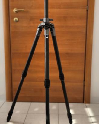 Gitzo G1228 Carbonio + Testa Manfrotto 460MG