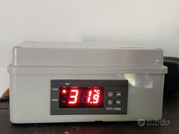 centralina elettronica 