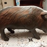 bersaglio arco cinghiale 3D