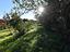 Immagine 15