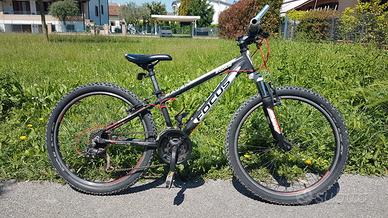 bici MTB bambino Focus Raven Rookie 24