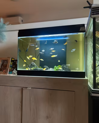 Acquario 80 litri