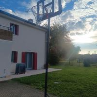 canestro regolamentare 