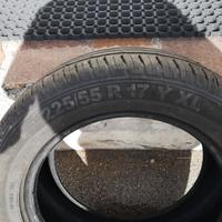 gomme estive 