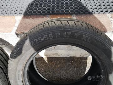 gomme estive 