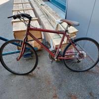 Bicicletta Mountain bike 