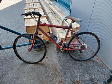 Bicicletta Mountain bike 