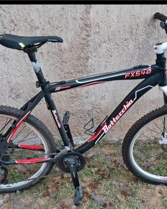 Bottecchia MTB