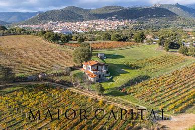 Villa - Berchidda
