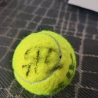 PALLINA ATP FINALS FIRMATA DA SINNER E DE MINAUR 