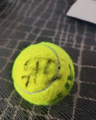 PALLINA ATP FINALS FIRMATA DA SINNER E DE MINAUR 