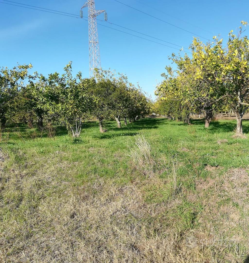 Pianeggiante pressi Stazione - View 3