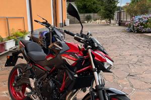 Kawasaki Z650 anno 2024