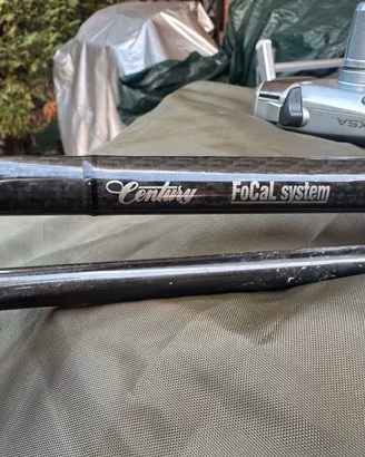 Canne da pesca carp fishing Century
