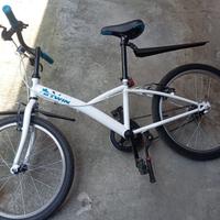 Bicicletta da bambino