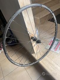 Cerchi 29 Boost bontragen