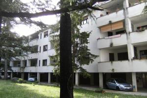 Rif.24160| appartamento trilocale