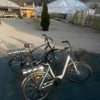 Bici elettriche Atala /Torpado