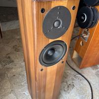 Diffusori autocostruiti Dyanudio esotar T 330D