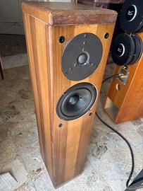 Diffusori autocostruiti Dyanudio esotar T 330D