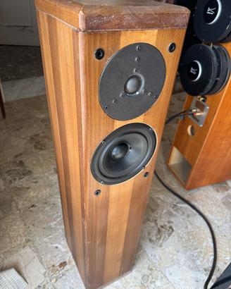 Diffusori autocostruiti Dyanudio esotar T 330D