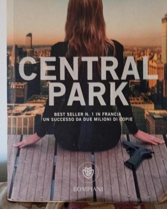 Libro noir Guillaume Musso Central Park 