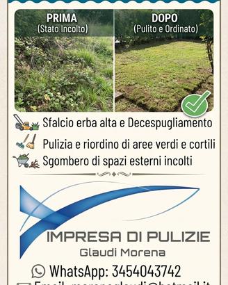 Pulizia giardini, terreni e pertinenze esterne